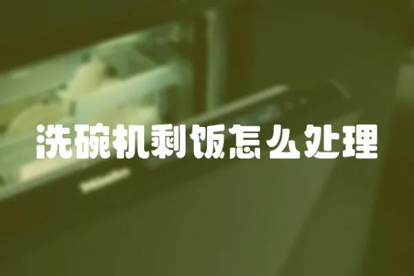 洗碗機(jī)剩飯?jiān)趺刺幚? loading=