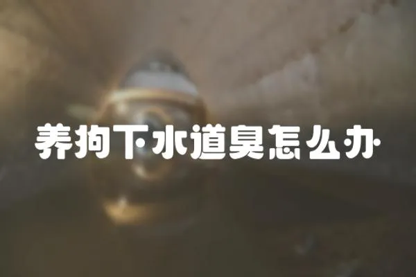 養狗下水道臭怎么辦