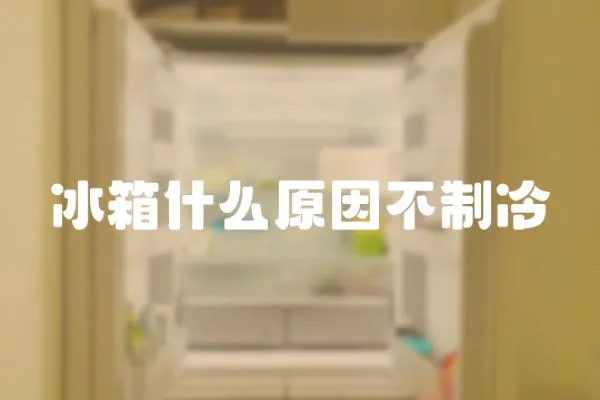 冰箱什么原因不制冷