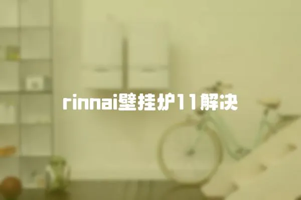 rinnai壁掛爐11解決