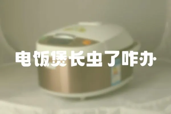 電飯煲長蟲了咋辦