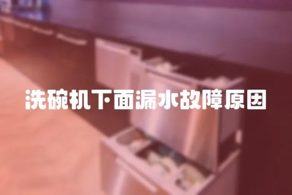 洗碗機下面漏水故障原因