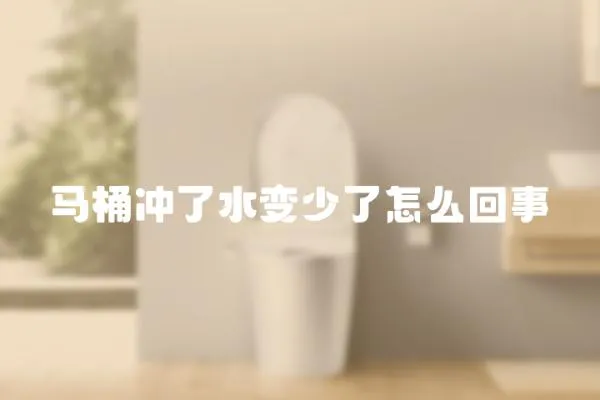 馬桶沖了水變少了怎么回事