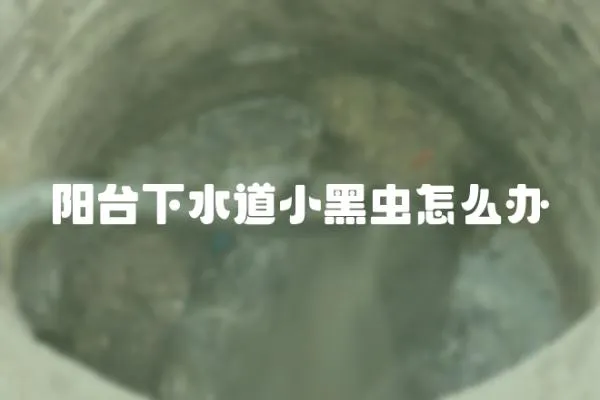 陽臺下水道小黑蟲怎么辦