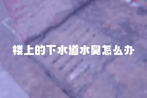 樓上的下水道水臭怎么辦
