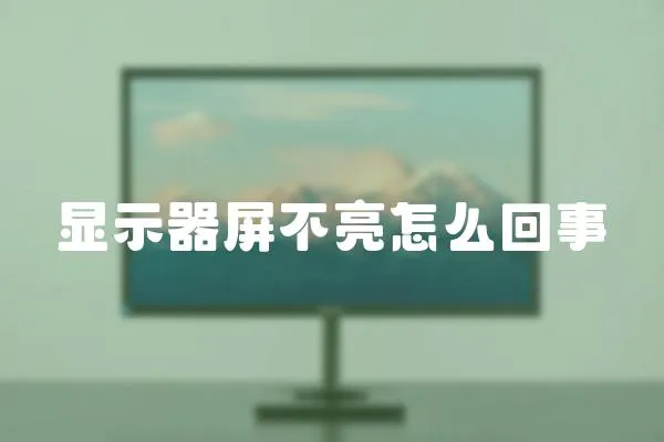 显示器屏不亮怎么回事