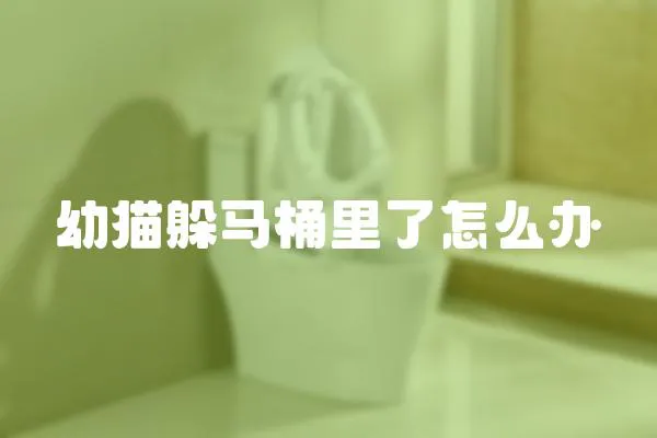 幼貓躲馬桶里了怎么辦