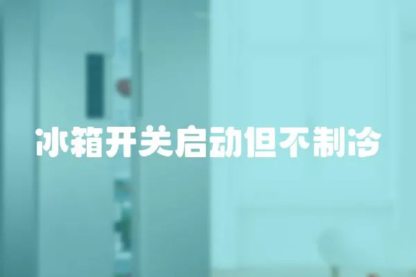冰箱開(kāi)關(guān)啟動(dòng)但不制冷