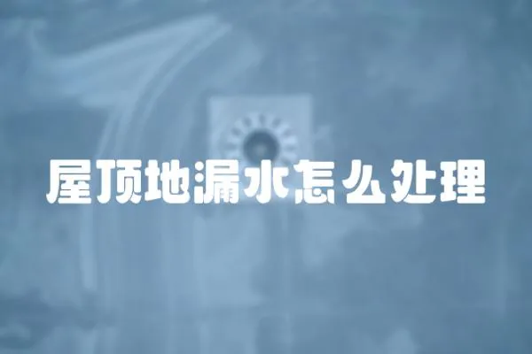 屋頂?shù)芈┧趺刺幚?></a></div>
                    <div   id=