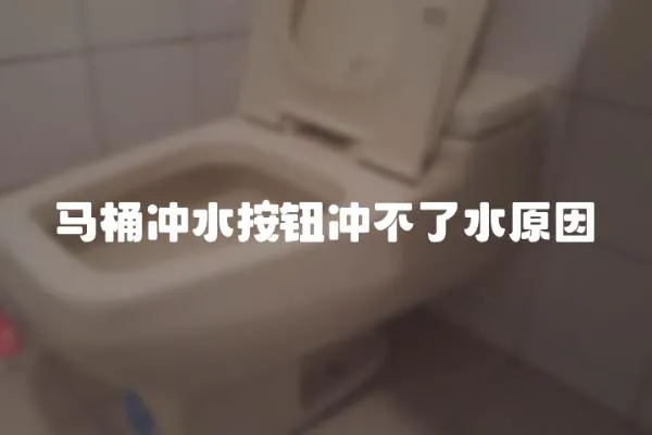 馬桶沖水按鈕沖不了水原因