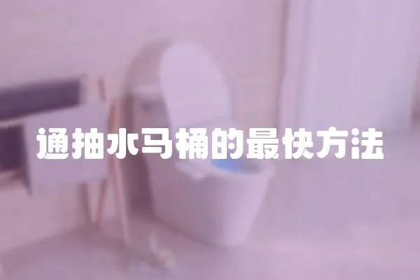 通抽水馬桶的最快方法