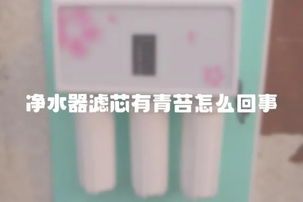 凈水器濾芯有青苔怎么回事