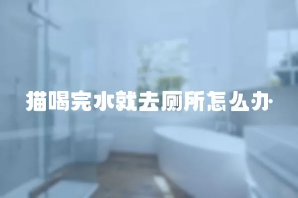 貓喝完水就去廁所怎么辦