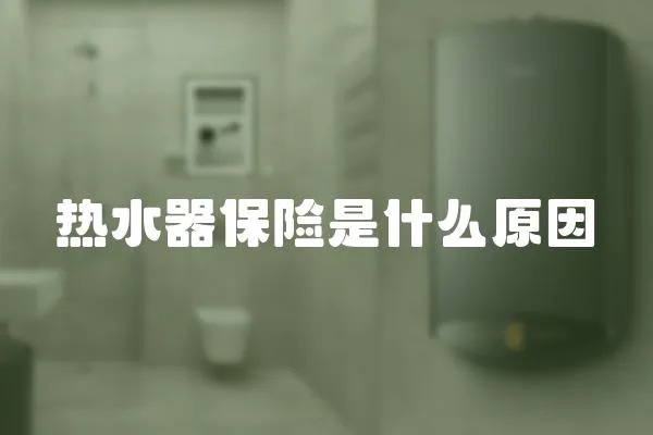 熱水器保險是什么原因