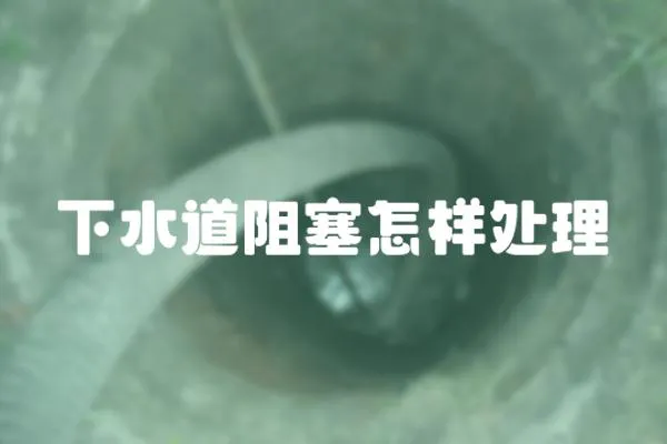 下水道阻塞怎樣處理