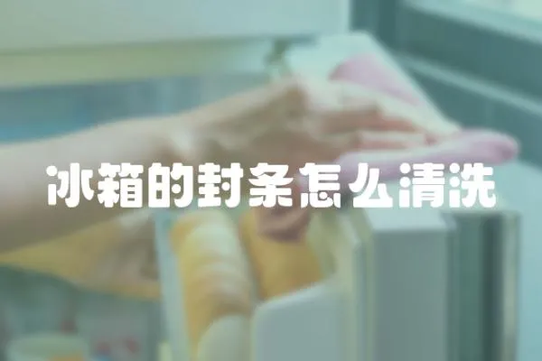 冰箱的封條怎么清洗