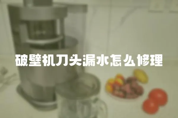 破壁機刀頭漏水怎么修理