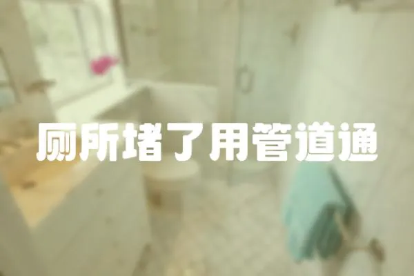 廁所堵了用管道通