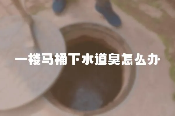 一樓馬桶下水道臭怎么辦