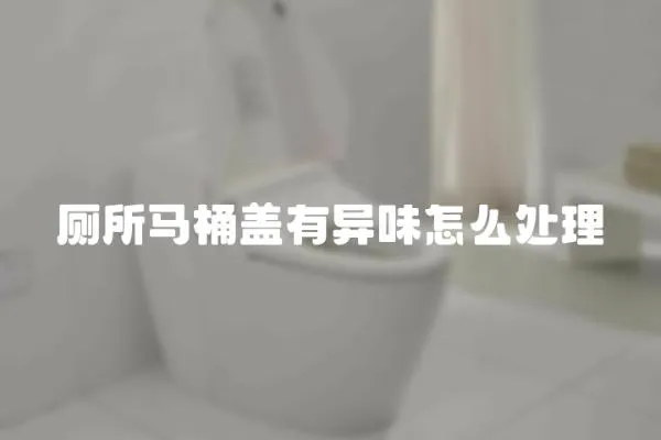 廁所馬桶蓋有異味怎么處理