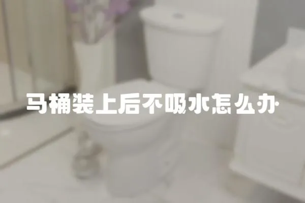 馬桶裝上后不吸水怎么辦