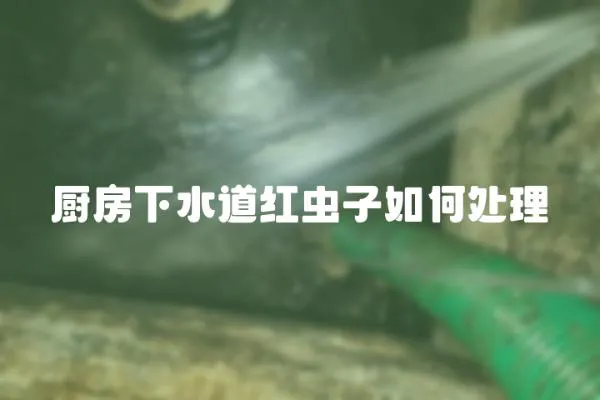 廚房下水道紅蟲子如何處理
