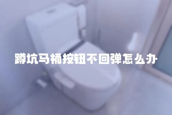 蹲坑馬桶按鈕不回彈怎么辦