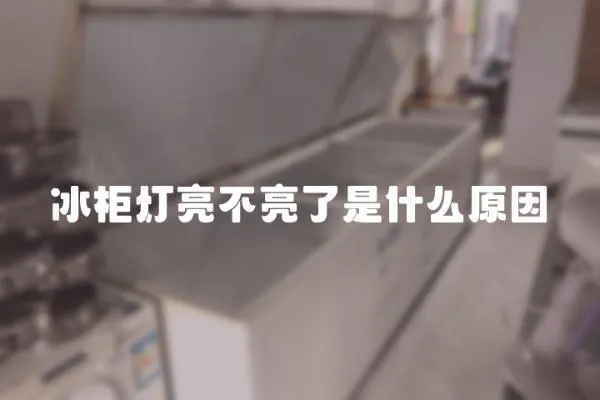 冰柜燈亮不亮了是什么原因