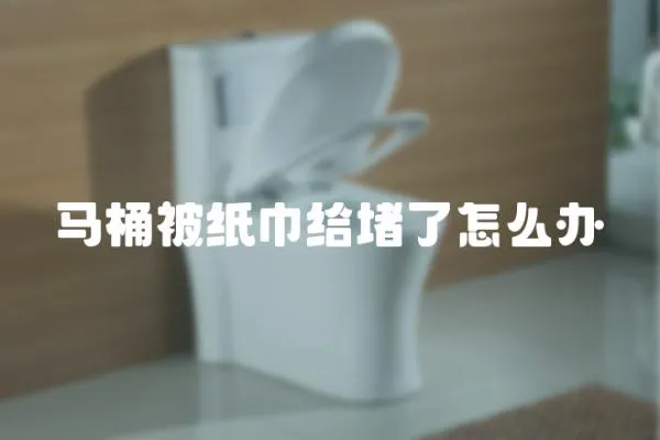 馬桶被紙巾給堵了怎么辦