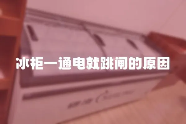 冰柜一通電就跳閘的原因