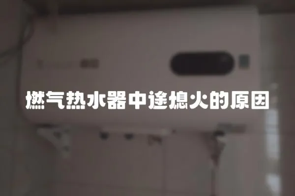 燃?xì)鉄崴髦型鞠ɑ鸬脑?></a></div>
                    <div   id=