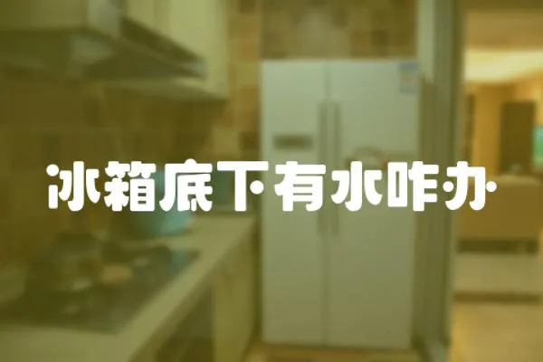 冰箱底下有水咋辦