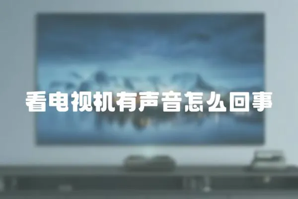看電視機有聲音怎么回事
