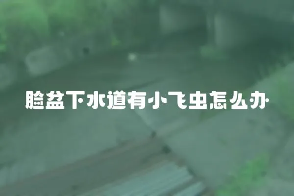 臉盆下水道有小飛蟲怎么辦