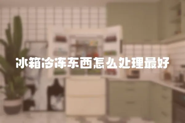 冰箱冷凍東西怎么處理最好
