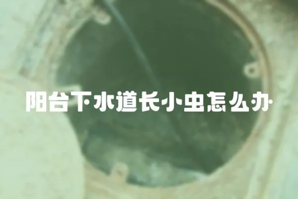 陽臺下水道長小蟲怎么辦