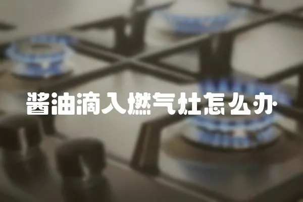 醬油滴入燃?xì)庠钤趺崔k