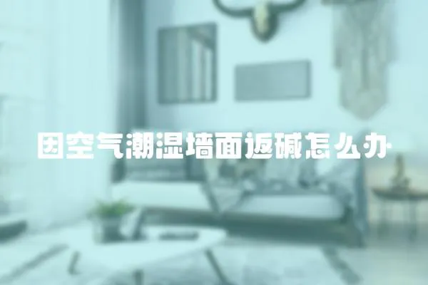 因空氣潮濕墻面返堿怎么辦