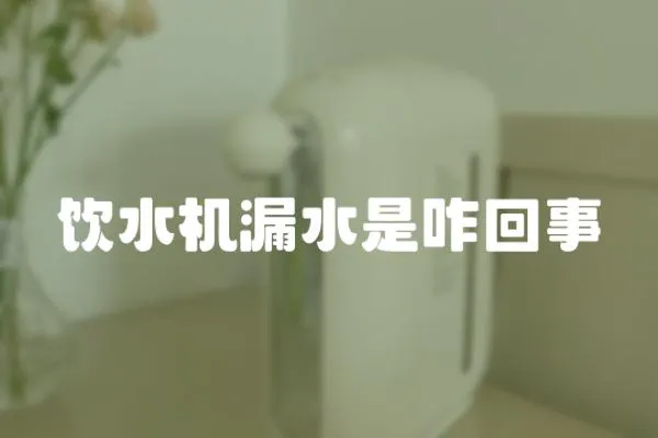 飲水機漏水是咋回事