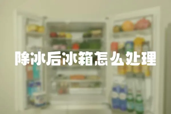 除冰后冰箱怎么處理