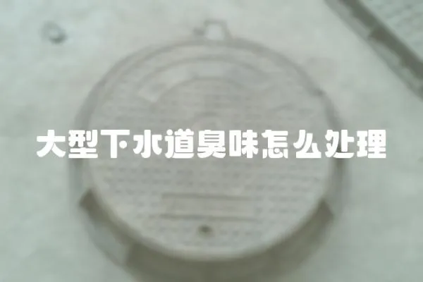 大型下水道臭味怎么處理