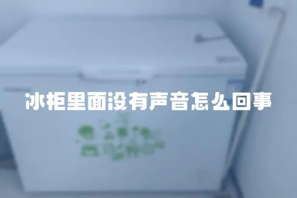 冰柜里面沒有聲音怎么回事