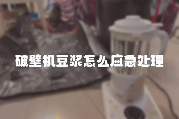 破壁機豆漿怎么應急處理