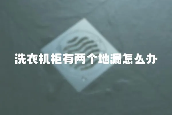 洗衣機(jī)柜有兩個(gè)地漏怎么辦
