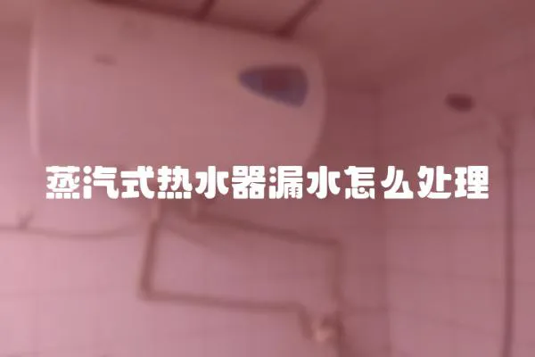 蒸汽式熱水器漏水怎么處理