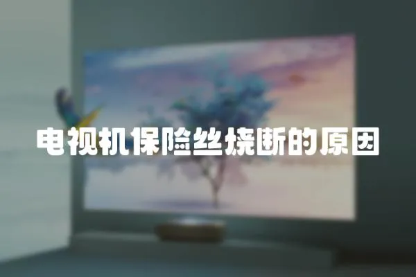 電視機(jī)保險(xiǎn)絲燒斷的原因