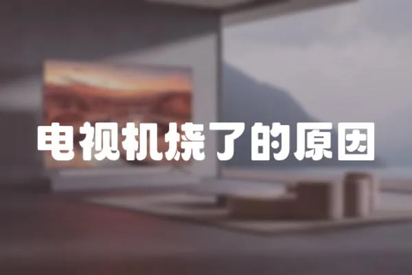 電視機燒了的原因