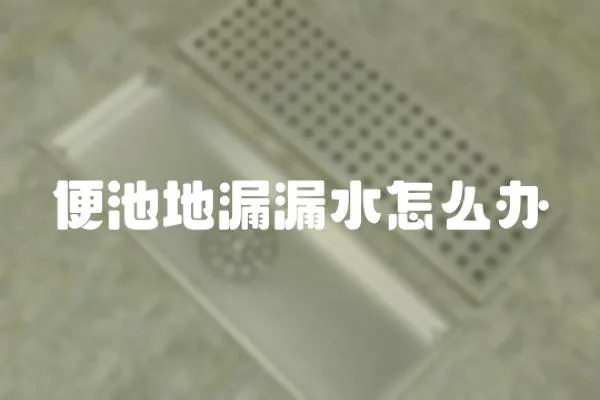 便池地漏漏水怎么辦