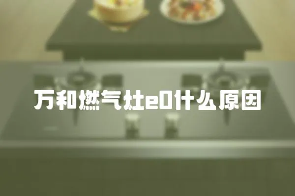 萬和燃氣灶e0什么原因