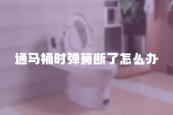 通馬桶時彈簧斷了怎么辦